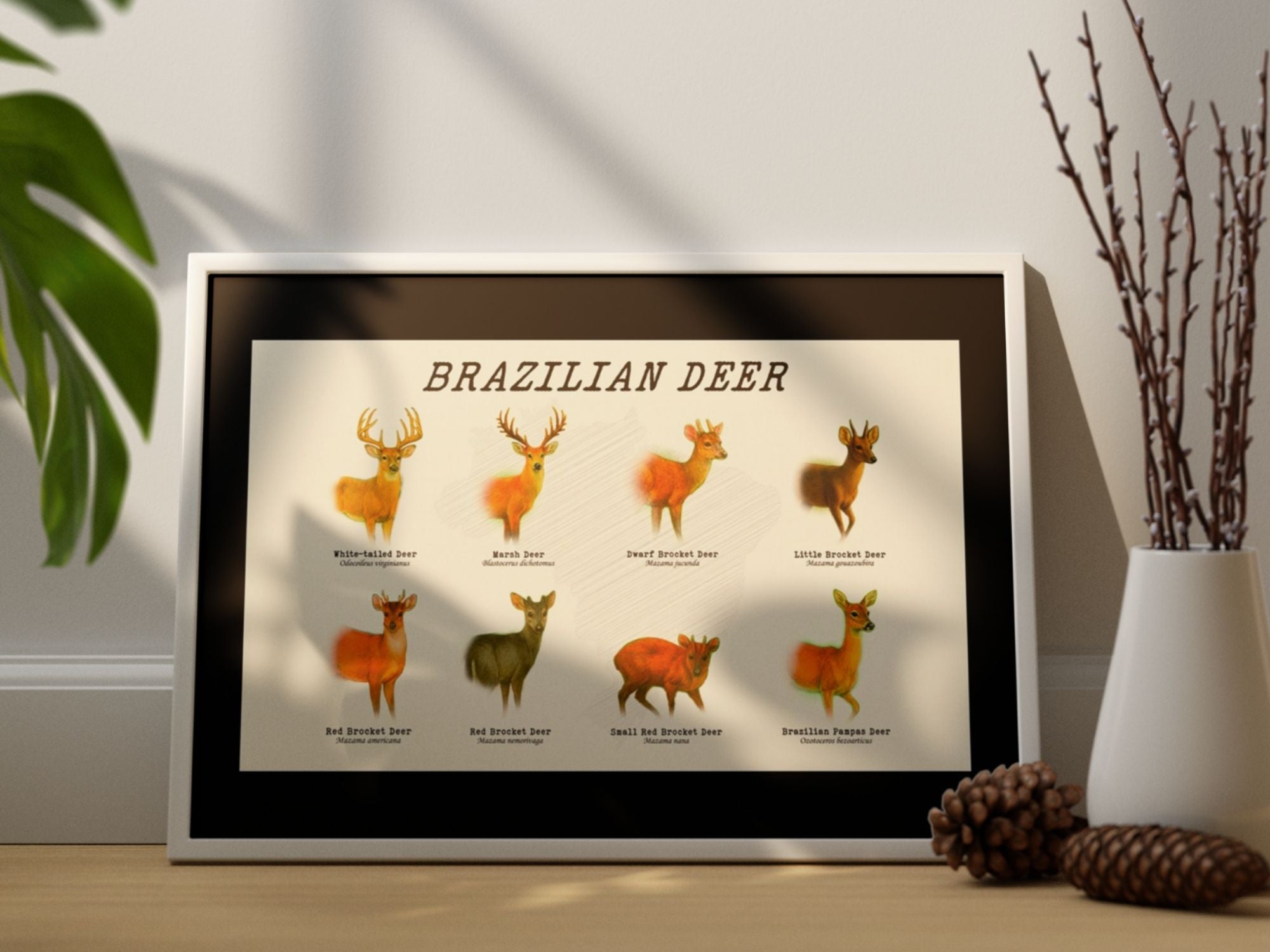 Frames and Prints